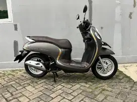 Honda scoopy stylish 2020