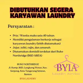 DICARI KARYAWAN LAUNDRY SETRIKA UAP