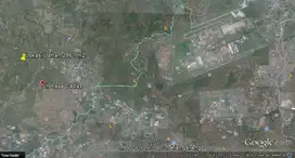 TANAH SAWAH YANG SUDAH DIKERINGKAN
