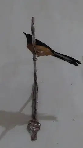 Murai Batu Fighter