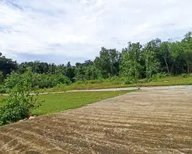 Iklan Tanah Kulon Progo Dekat UNY Wates 1 Juta Nego