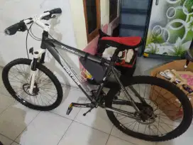Sepeda MTB polygon XTRADA 4.0