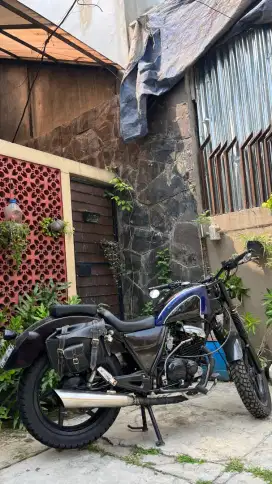 Suzuki Thunder 2006 Custom