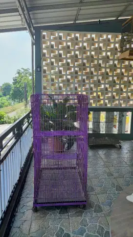 Kandang Kucing Bekas