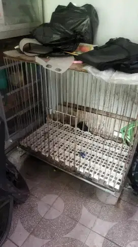 Kandang Hewan Anjing Reptil Kucing Musang 100x80x50 cm