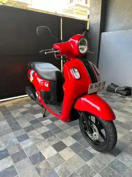 Fazzio 2023 mulus