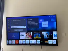 LG TV nanocell 55inc