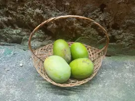 Mangga Kweni Muanis