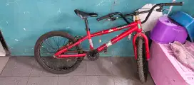 Sepeda bmx 20 inch new phoenix
