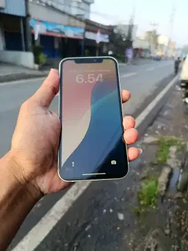 Iphone 12 64gb inter