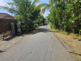 Tanah sawah dalam kota singaraja