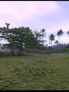 TANAH VIEW LAUT DEKAT MANDIRI BEACH CLUB KRUI PESISIR LAMPUNG, INDONES