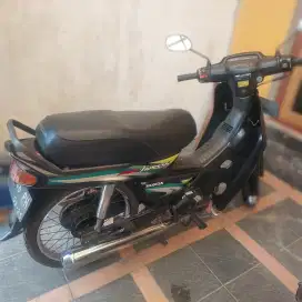 Astrea impressa terawat