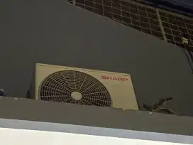 AC Merk Sharp 1 Pk