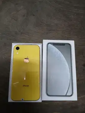 iphone xr 128 mulus