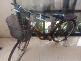 Sepeda wim cycle