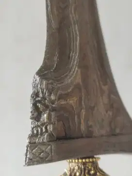 Jalak ngore Makoro HB V