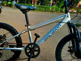 Sepeda mtb polygon maze 20