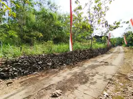 Tanah murah meriah luas 1500 m hanya 35 juta di Dadapayu Semanu