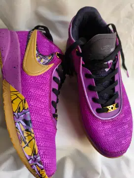 NIKE LEBRON 20XX