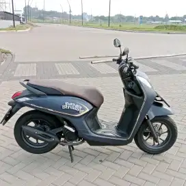 Genio mulus 2024 km low