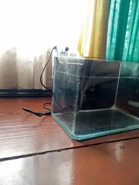 Aquarium minimalis