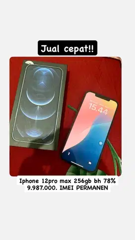 Iphone 12 pro max