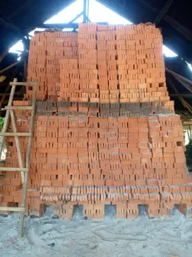 Bata merah press