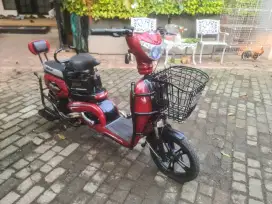 Sepeda Listrik Selis Murai Siap Pakai di Condet