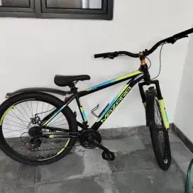 Sepeda dewasa wanita /pria