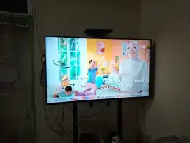 TV Panasonic 50 inc