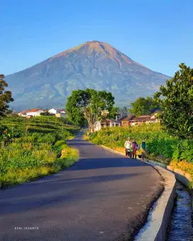 Cari Pekerjaan ART