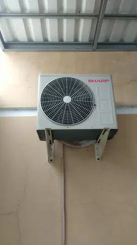 AC Sharp 1/2 PK