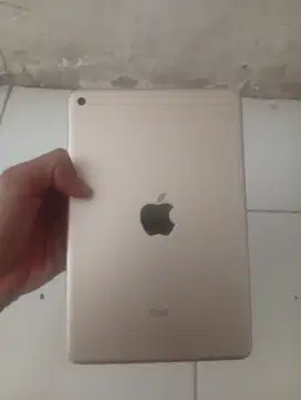 iPad mini 4 128 wifi