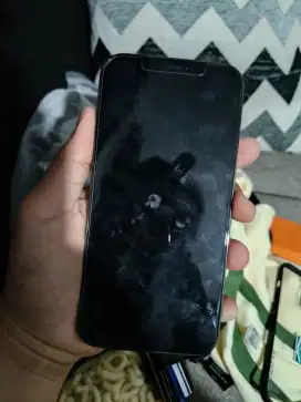 Jual iPhone 12 pro max 256gb ibox
