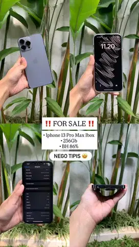 Iphone 13 Pro Max 256