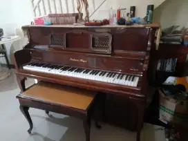 Piano Classic Richard Mayer