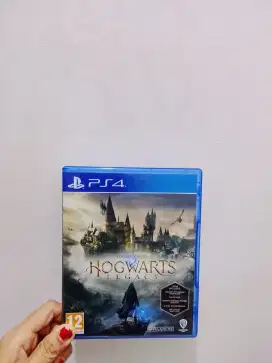 Hogwarts Legacy Ps4