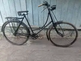 dyspd ontho siap pakai