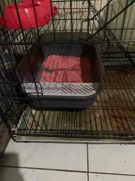 Jual Cepat Express Paket Kandang Kucing Tingkat 3 dan Perlengkapan