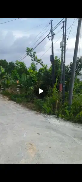 Dijual Tanah Kariangau Murah Langsung Pemilik
