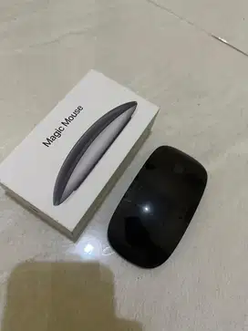Apple magic mouse