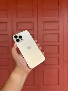 IPHONE 13 PROMAX INTER 256GB MULUS LENGKAP