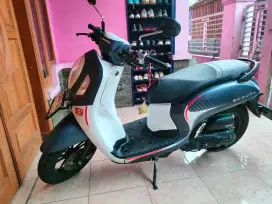 Honda Scoopy stylish