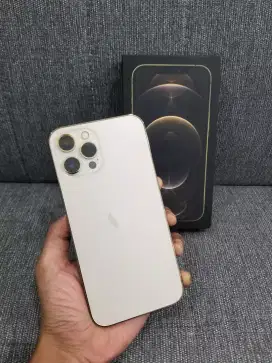 iphone 12 Pro Max 256 GB Resmi Ibox Gullset