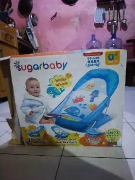 Sugar Baby Wolly Whale