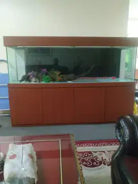 Aquarium 220 x 60 x 165