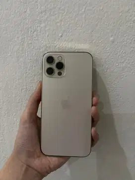 Iphone 12 pro 128 gb gold (ex ibox)