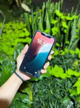 ip 11 biasa 64gb