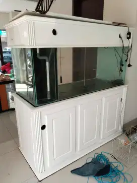 Aquarium hewan peliharaan dan ikan